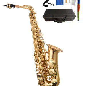 SAXOFON ALTO AILEEN SP1001G