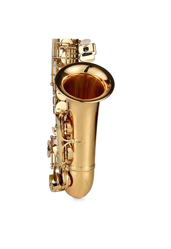 SAXOFON ALTO AILEEN SP1001G - Imagen 2