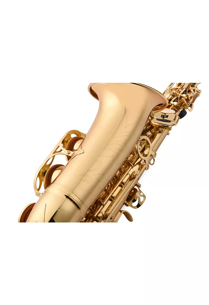 SAXOFON ALTO AILEEN SP1001G - Imagen 3