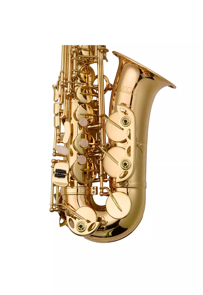 SAXOFON ALTO AILEEN SP1001G - Imagen 4