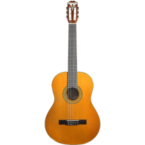 GUITARRA CLASICA EPIPHONE EAP2ANCH1 PRO-1 NATURAL