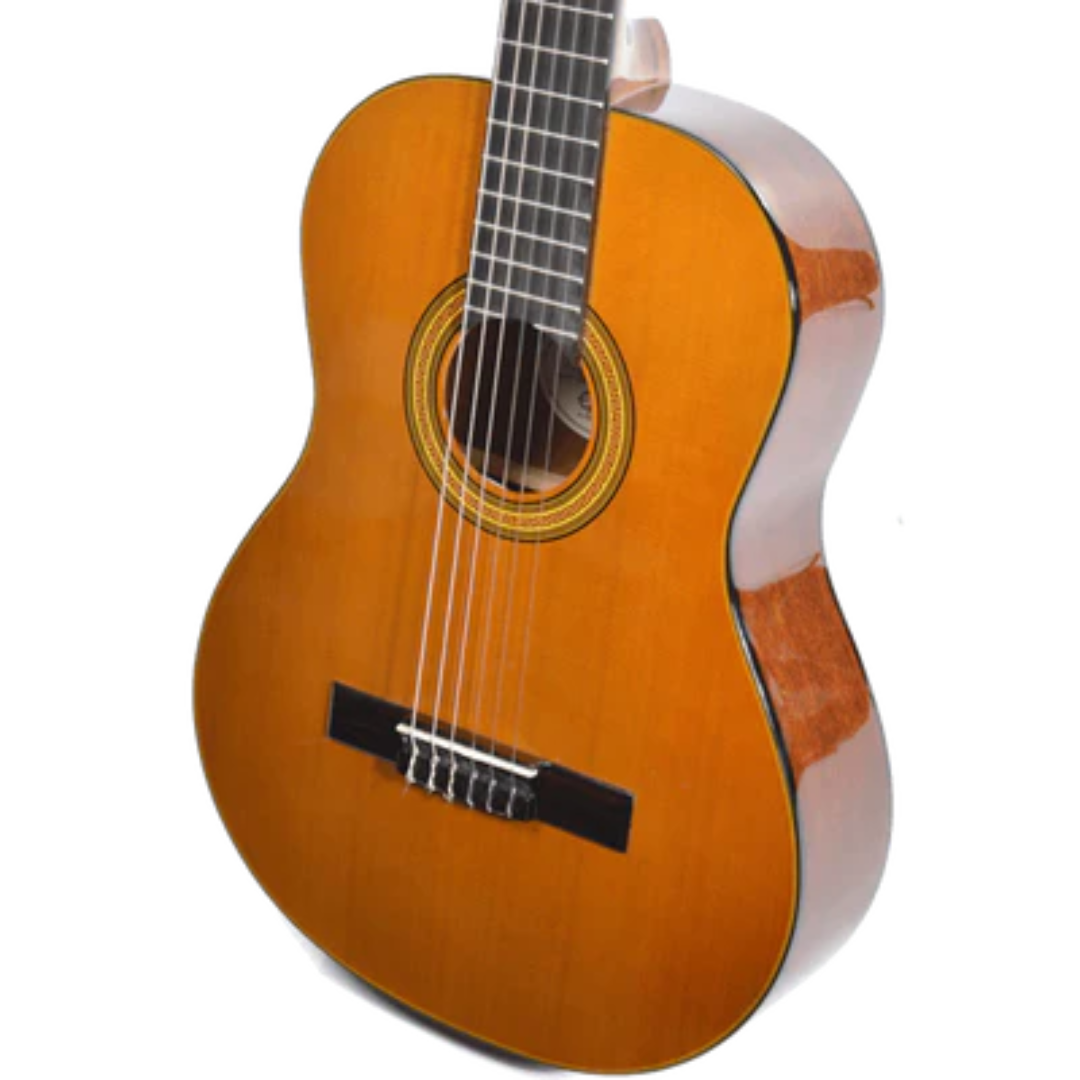GUITARRA CLASICA EPIPHONE EAP2ANCH1 PRO-1 NATURAL - Imagen 2