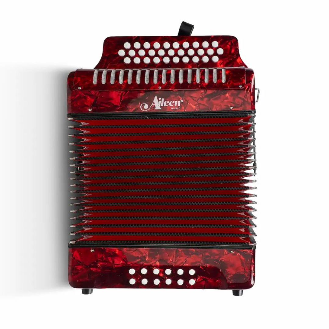 ACORDEON AILEEN B3112 12 BAJOS - Imagen 2