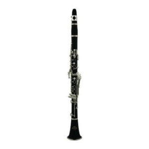 CLARINETE ROY BENSON CB-218 RB700451