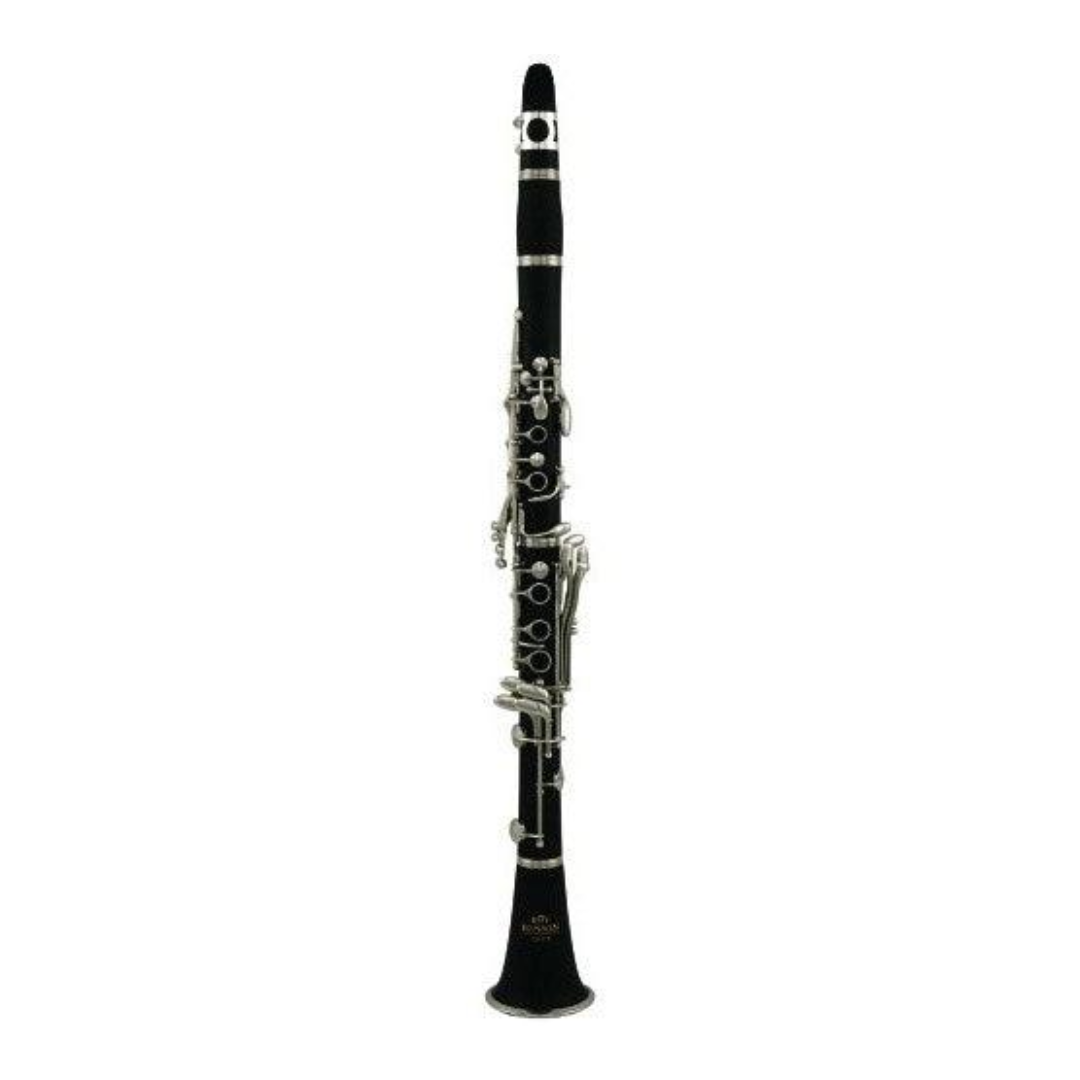 CLARINETE ROY BENSON CB-218 RB700451