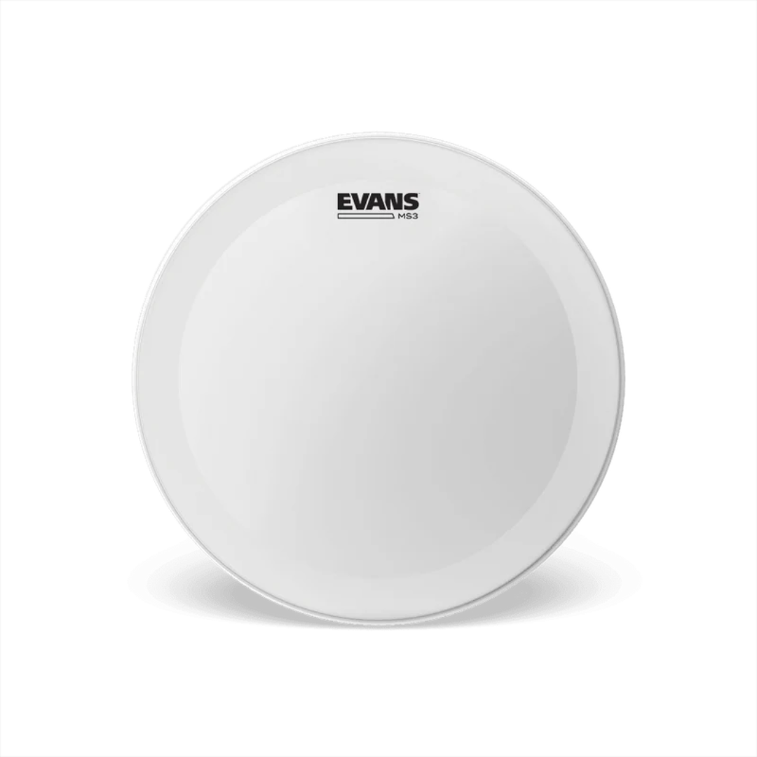PARCHE EVANS 14″ DELGADO SS14MS3C