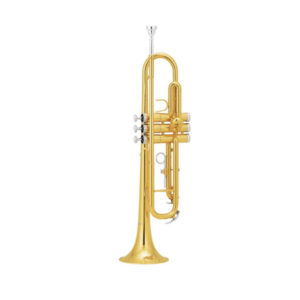TROMPETA JINBAO JBTR-300L DORADA