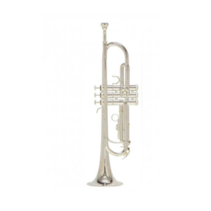 TROMPETA ROY BENSON TR-202S