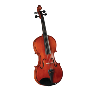 VIOLA CERVINI HVA-150 3/4 15”